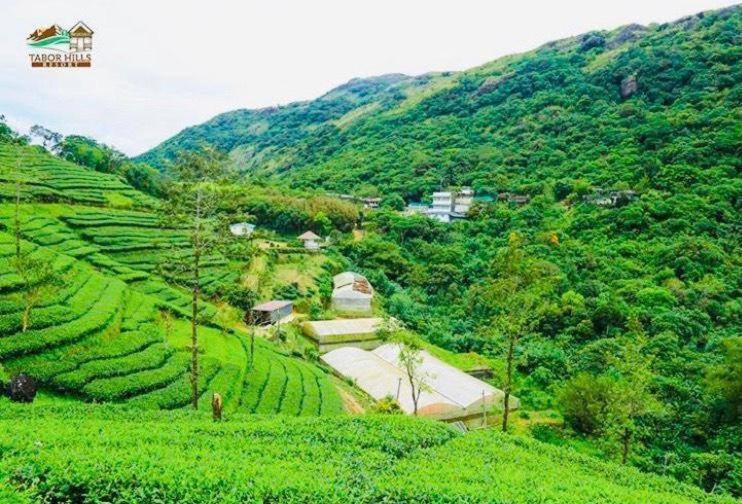 Tabor Hills Resort Vagamon Ngoại thất bức ảnh